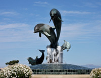 Monterey 2008