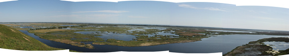 Panorama of Marshes