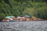 Great Bear Lodge/ Vancouver Is 2010